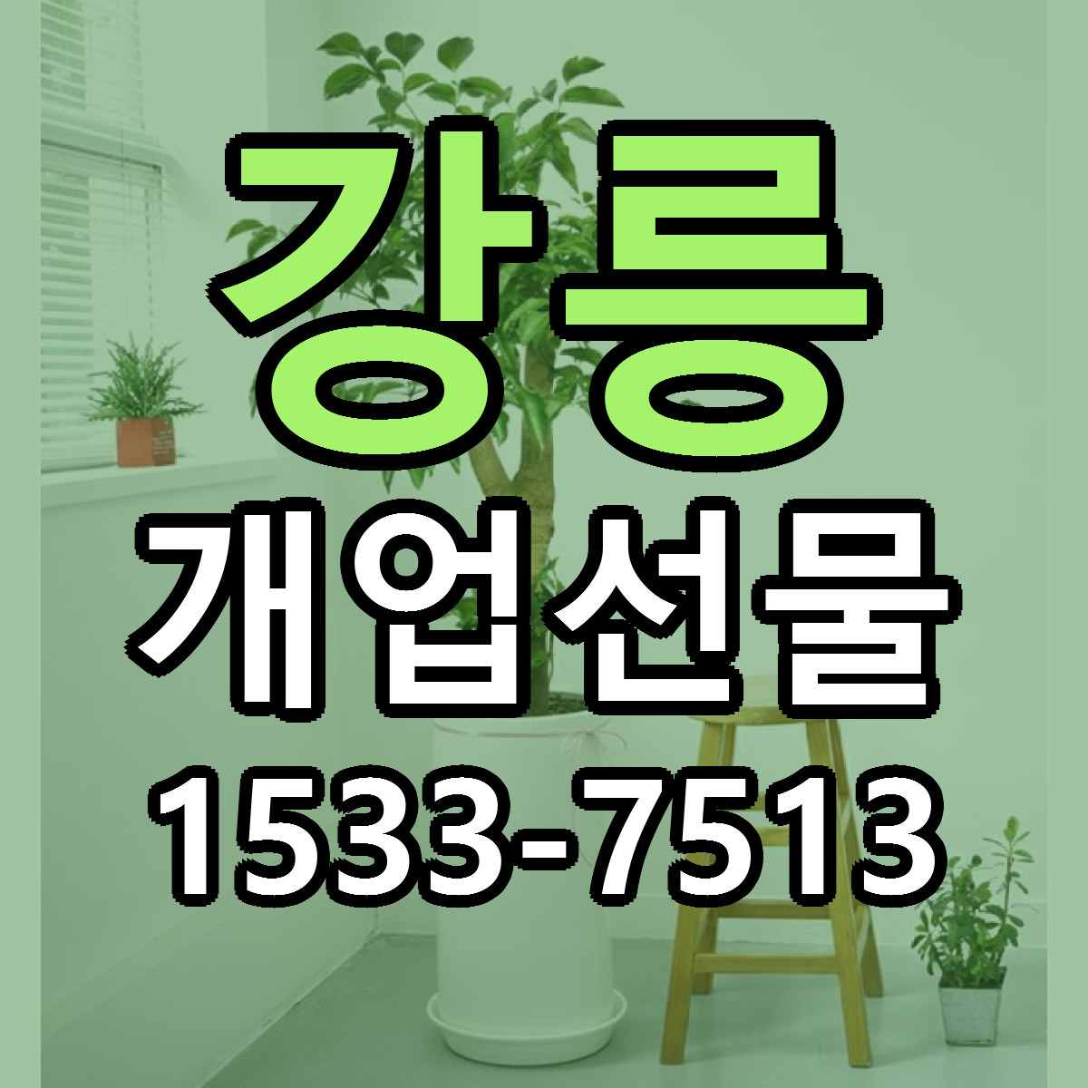 강릉 개업선물 빠른배송 가격 저렴한곳 찾기