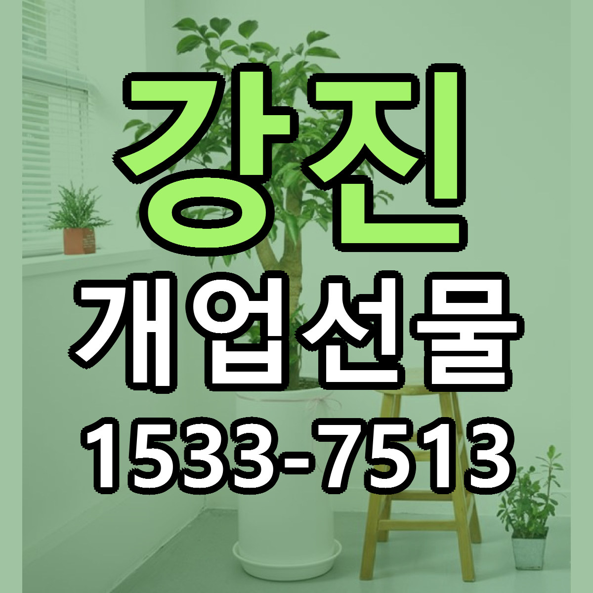 강진 개업선물 당일배송 근처꽃집 싼곳 비교
