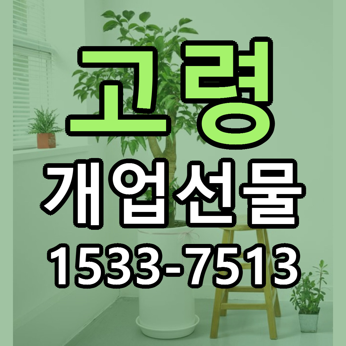 고령 개업선물 근처꽃집 당일배송 가격 안내