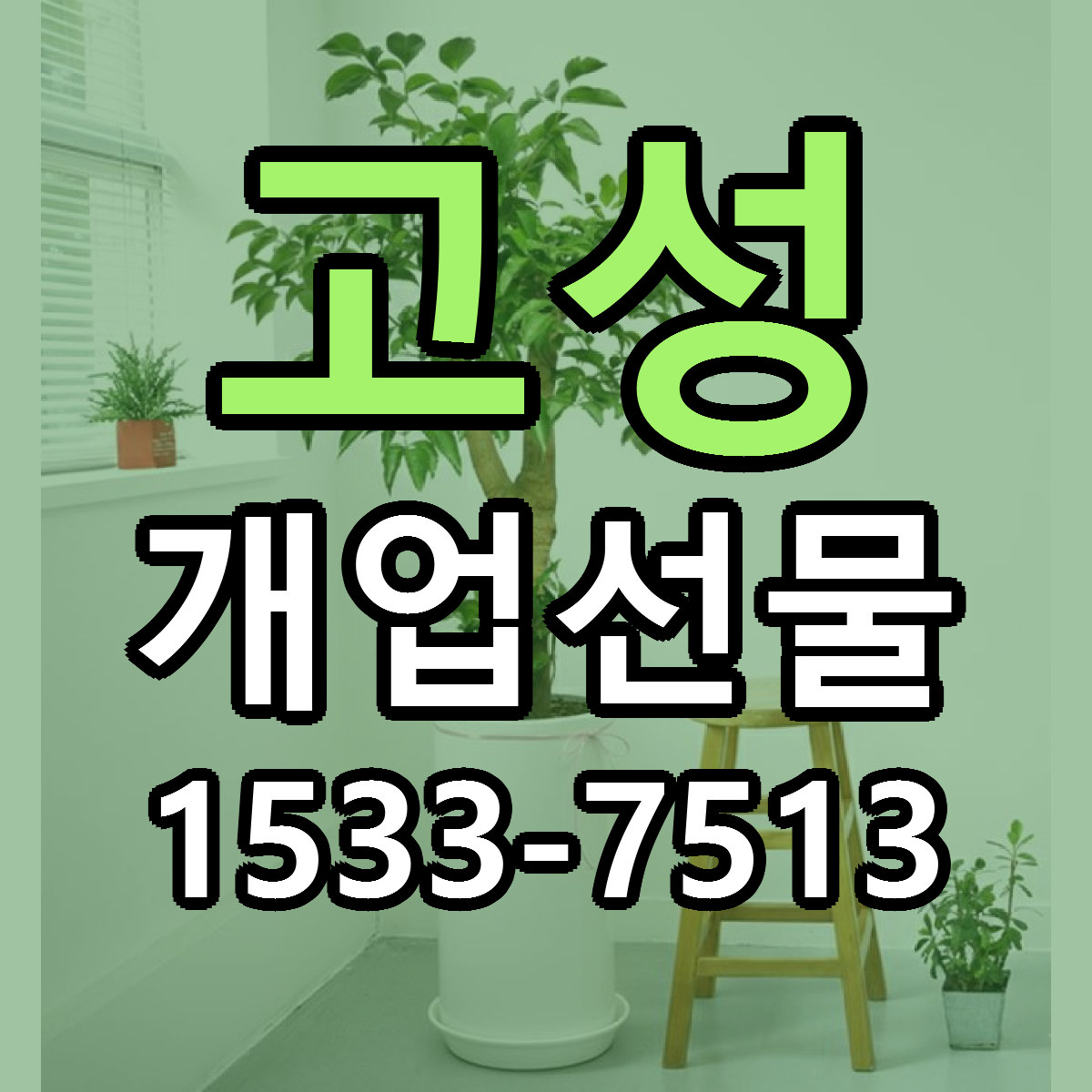 고성 개업선물 당일배송 리본문구 싼곳 찾기