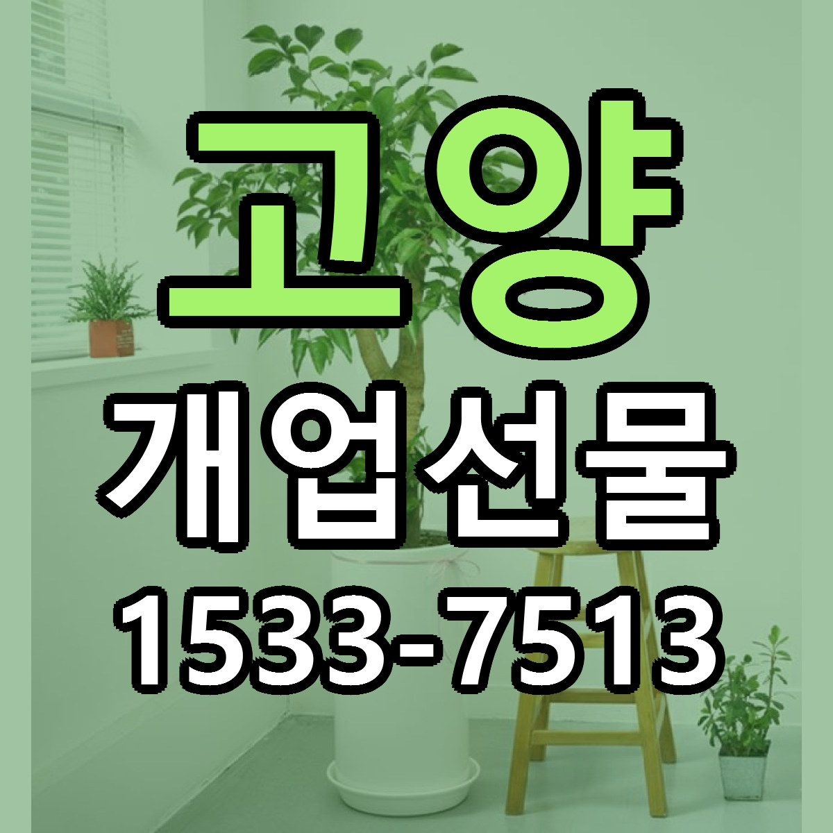 고양 개업선물 근처꽃집 당일배송 싼곳 추천