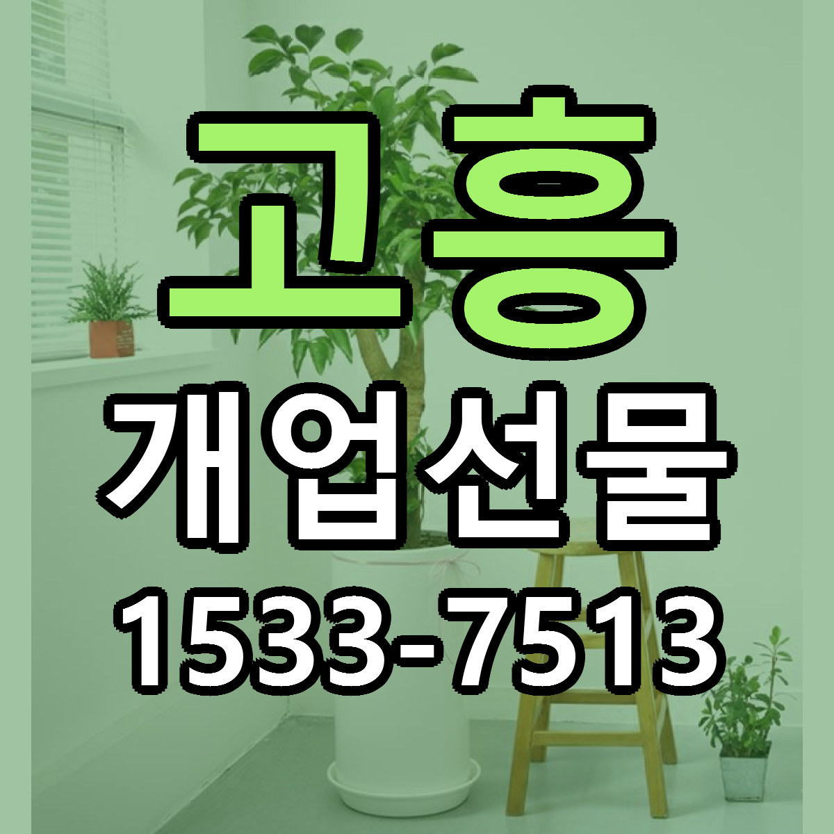고흥 개업선물 당일배송 근처꽃집 싼곳 비교