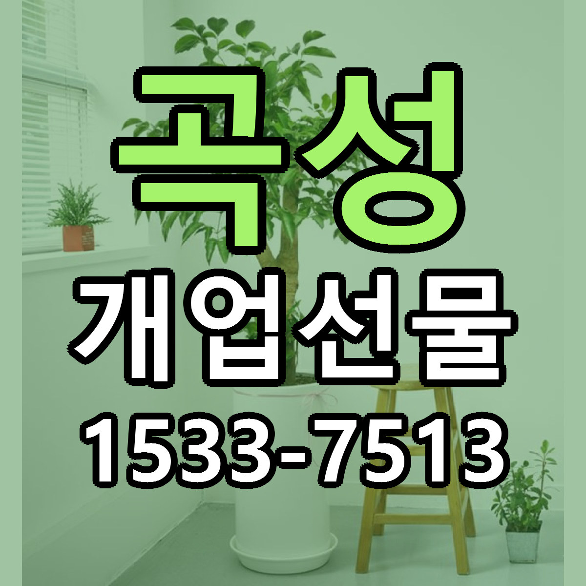 곡성 개업선물 빠른배송 저렴한곳 가격 정리
