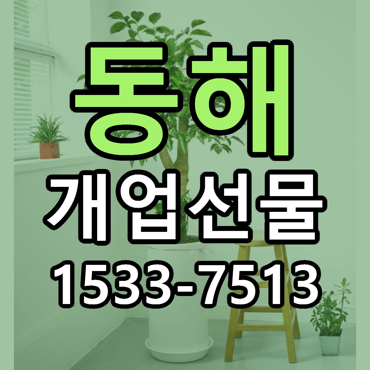 동해 개업선물 근처꽃집 당일배송 가격 안내