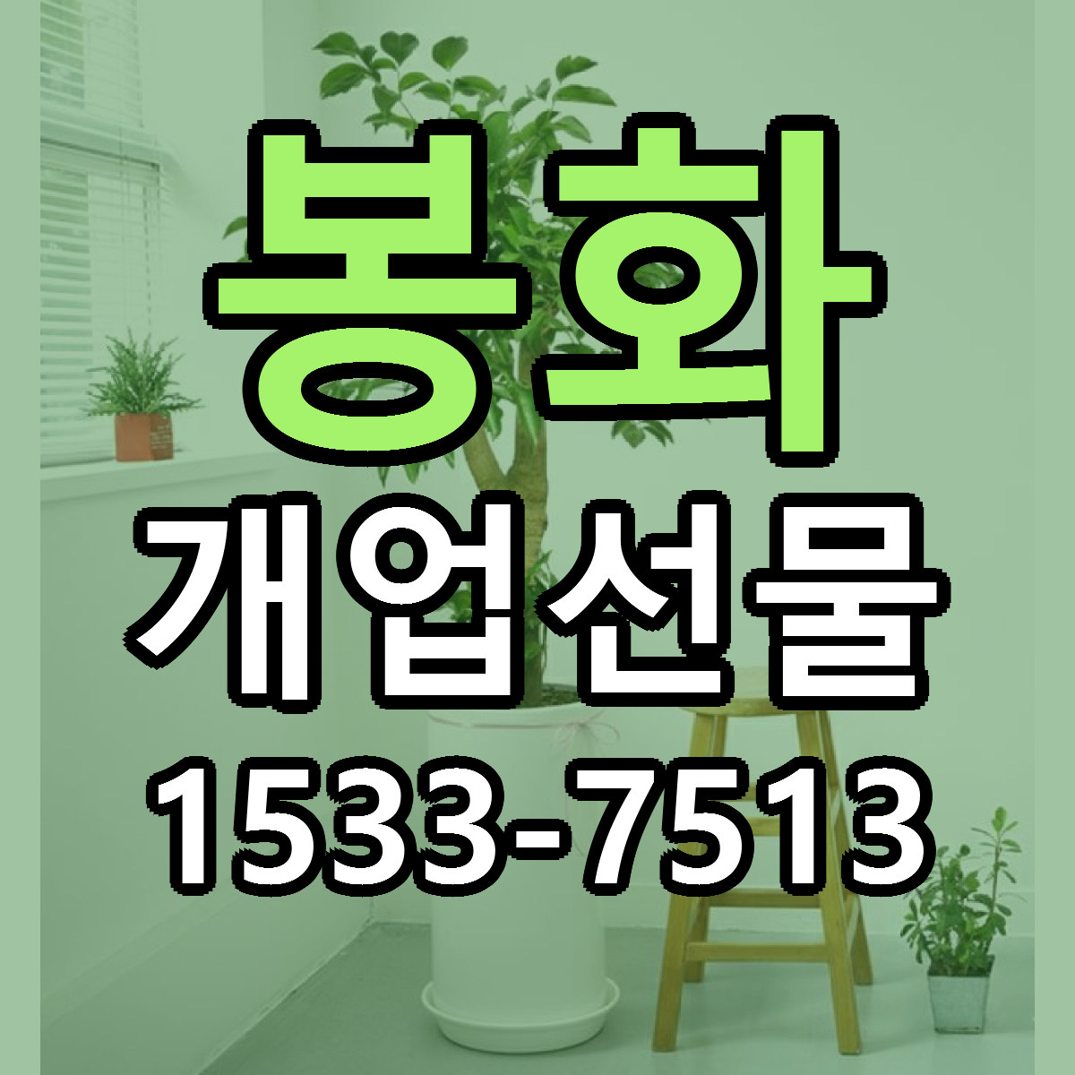 봉화 개업선물 근처꽃집 당일배송 싼곳 추천