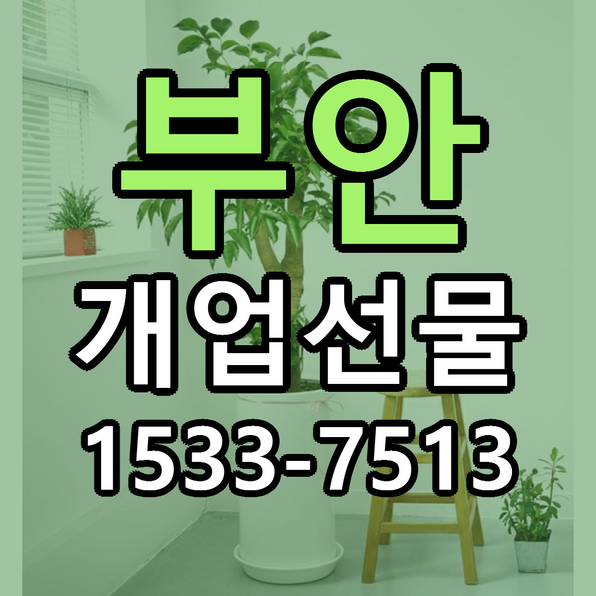 부안 개업선물 근처꽃집 저렴한곳 빠른배송 서비스