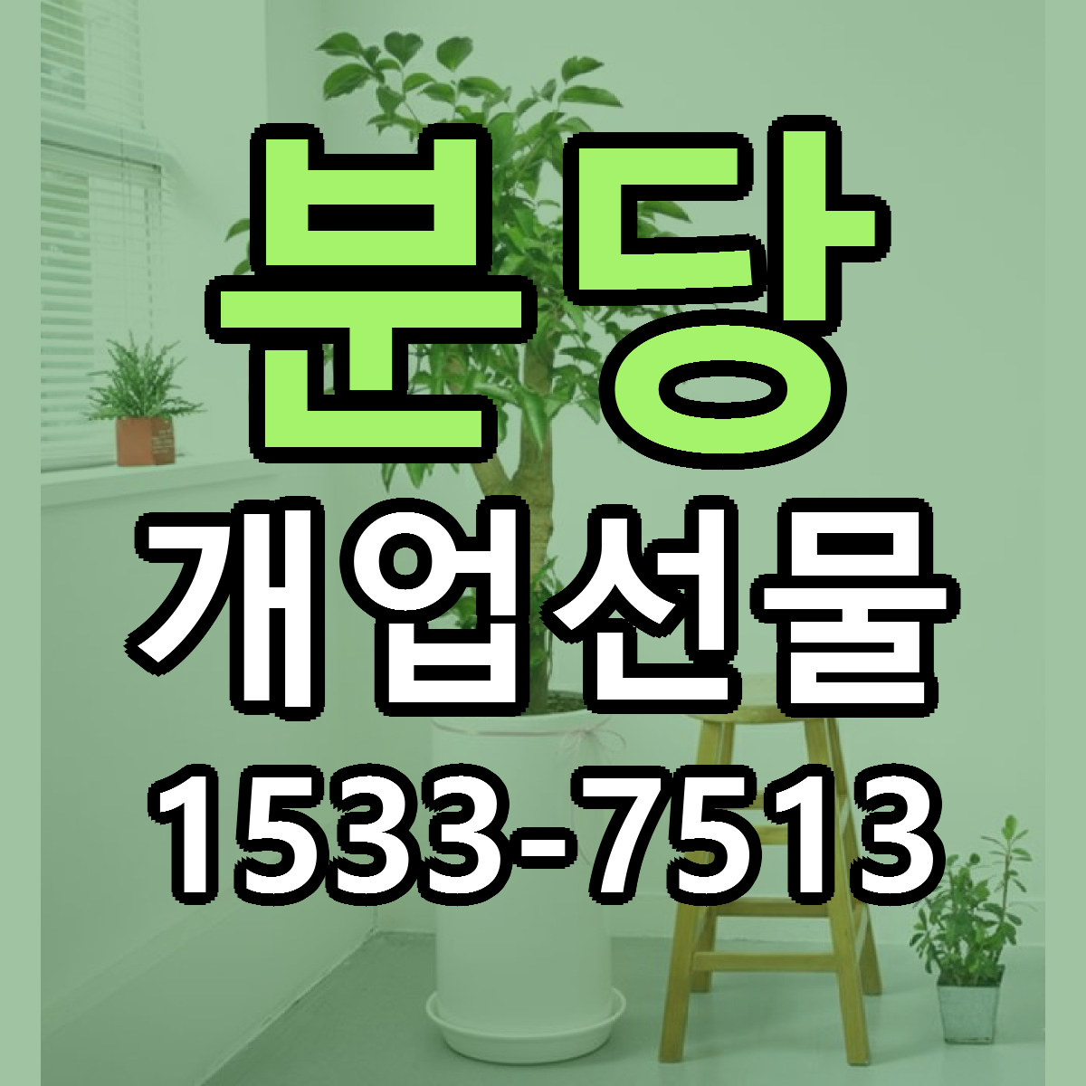 분당 개업선물 당일배송 빠른배송 싼곳 찾기