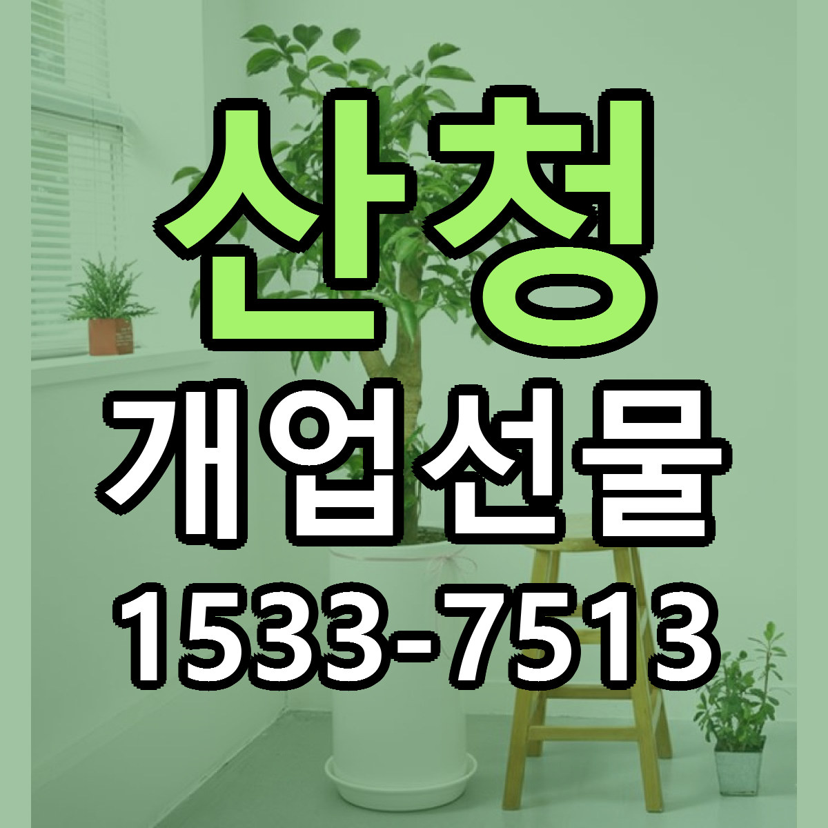 산청 개업선물 당일배송 근처꽃집 싼곳 비교