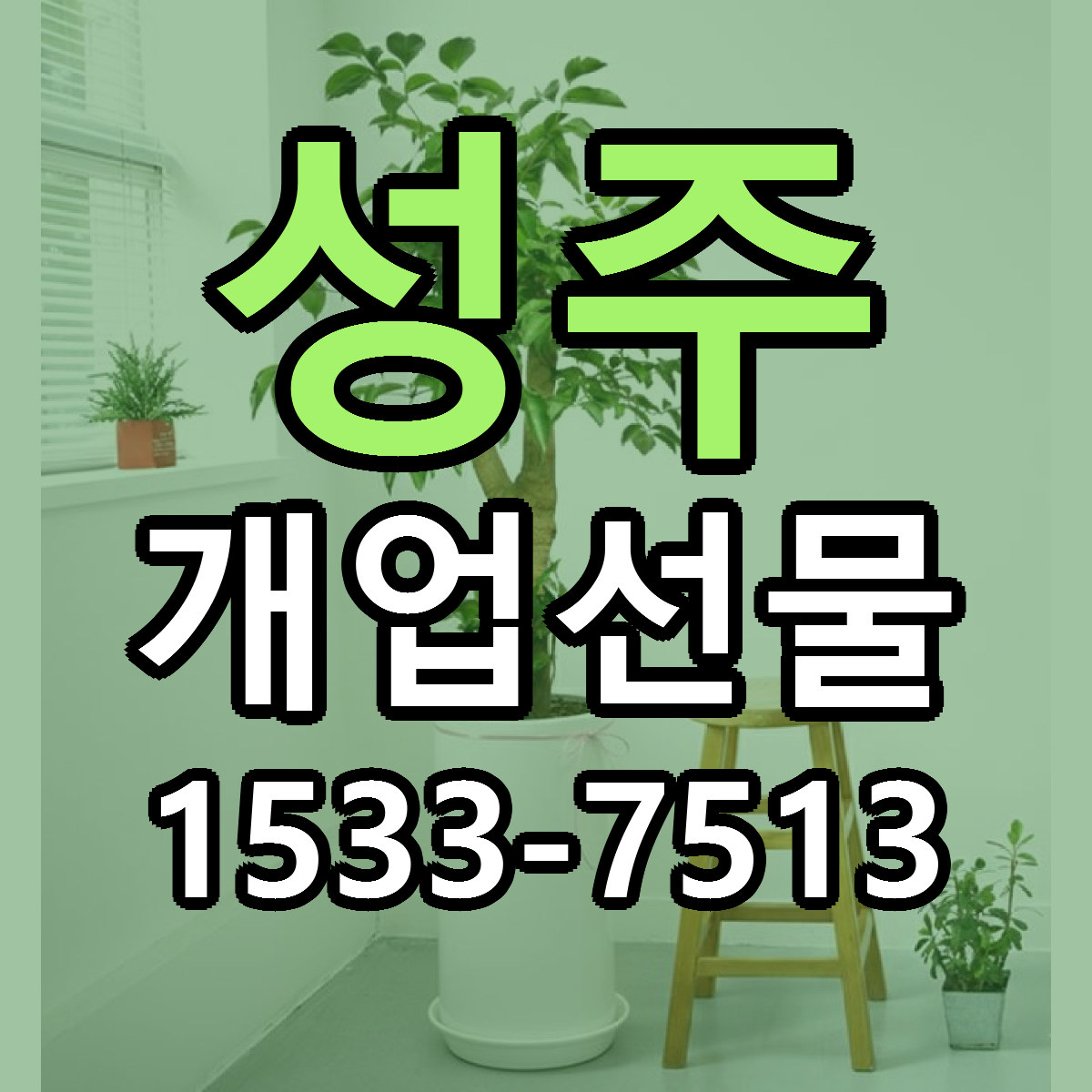 성주 개업선물 싼곳 당일배송 빠른배송 추천