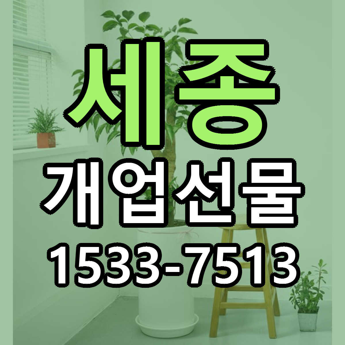 세종 개업선물 당일배송 싼곳 리본문구 안내