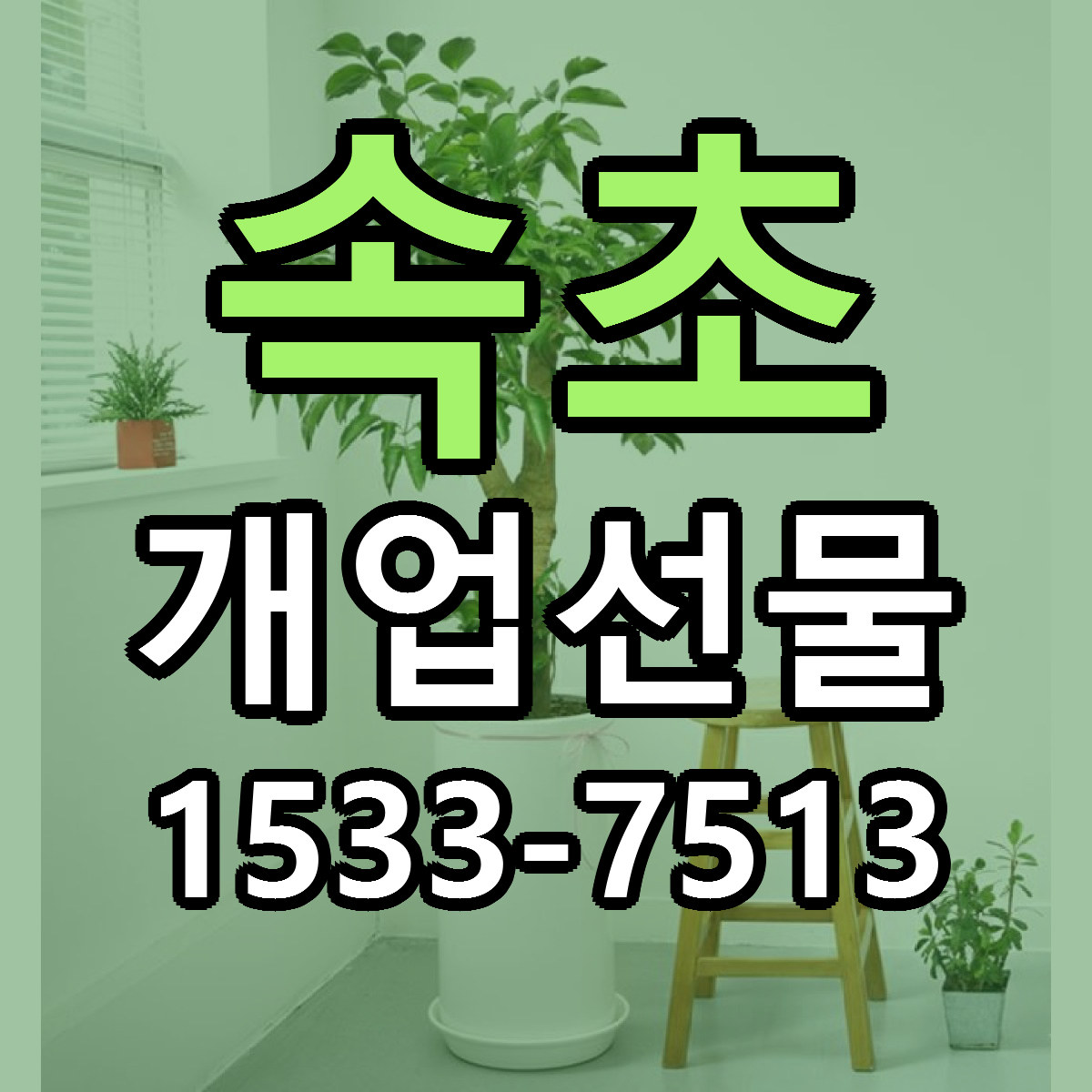 속초 개업선물 싼곳 당일배송 리본문구 작성