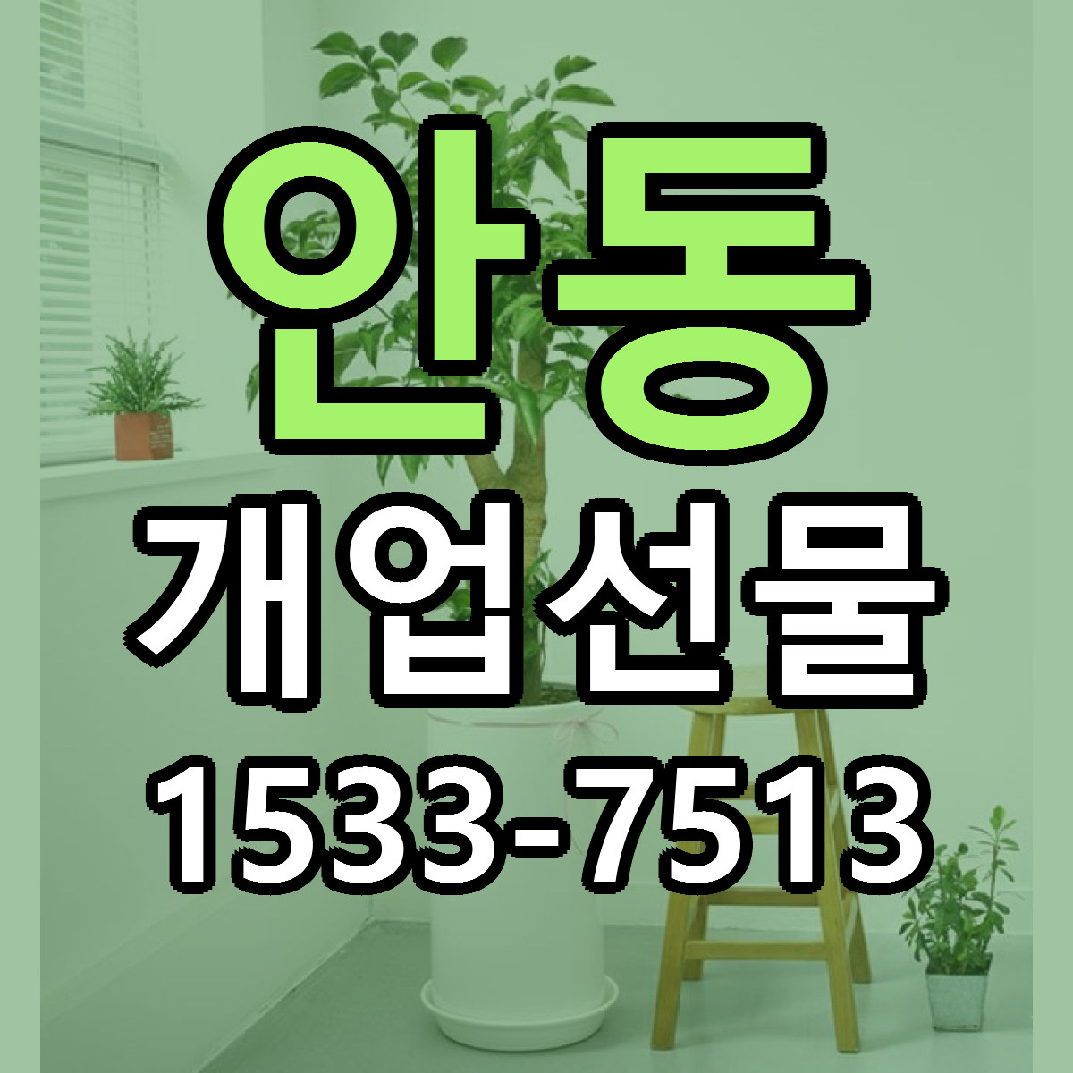 안동 개업선물 저렴한곳 당일배송 근처꽃집 추천