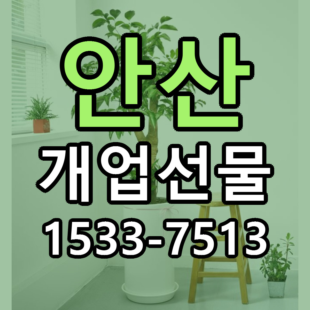 안산 개업선물 빠른배송 싼곳 가격 문의