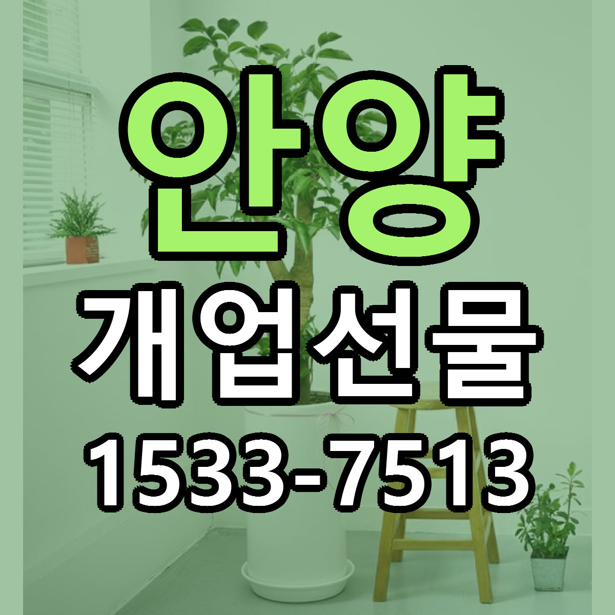 안양 개업선물 당일배송 가격 저렴한곳 추천