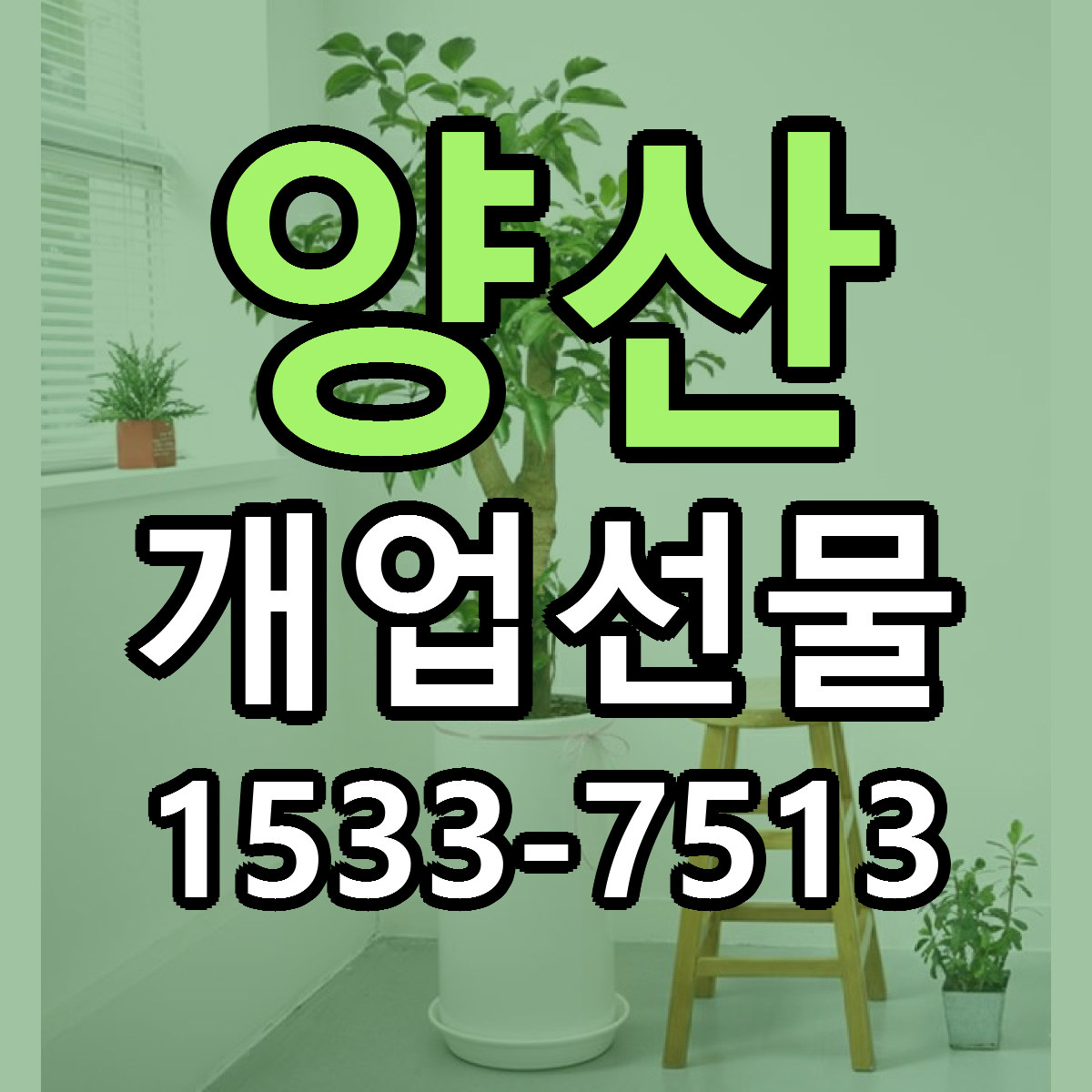 양산 개업선물 근처꽃집 당일배송 가격 안내