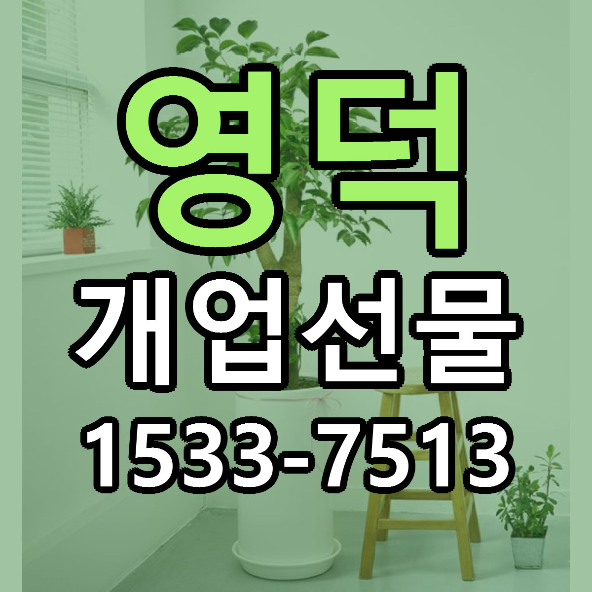 영덕 개업선물 빠른배송 리본문구 근처꽃집 예약