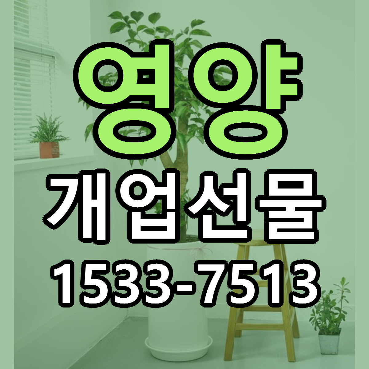 영양 개업선물 근처꽃집 저렴한곳 빠른배송 서비스