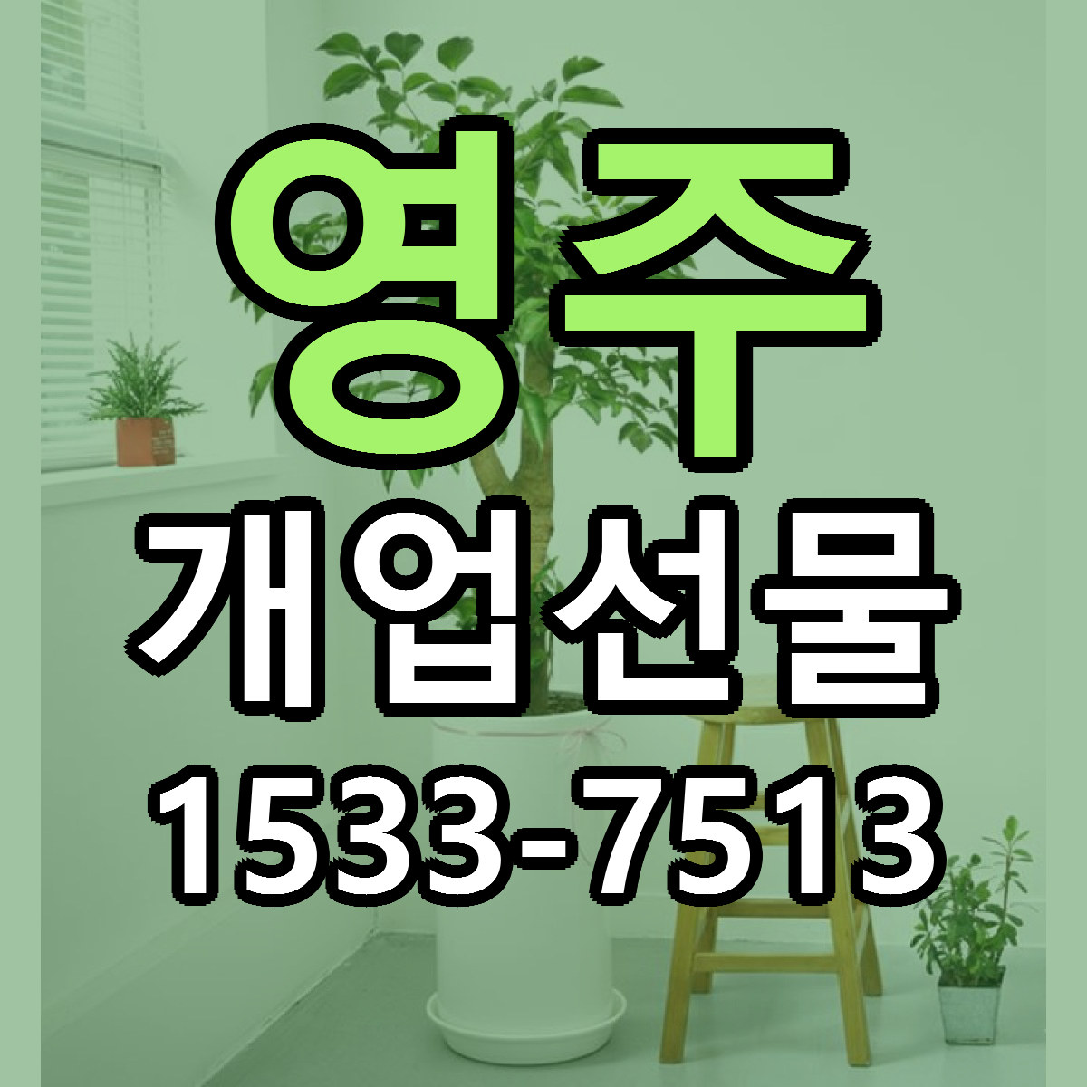 영주 개업선물 근처꽃집 당일배송 가격 안내