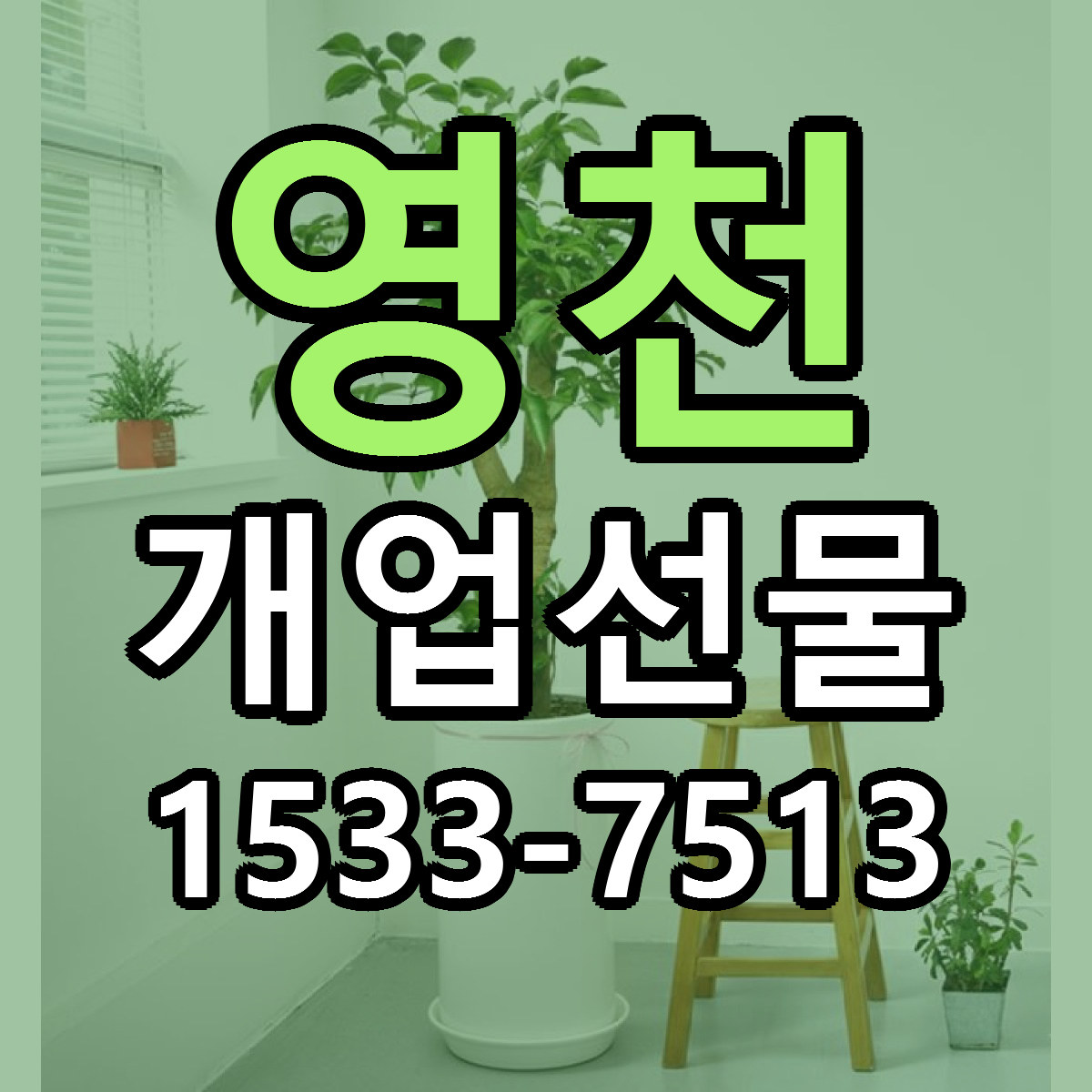 영천 개업선물 당일배송 근처꽃집 싼곳 비교