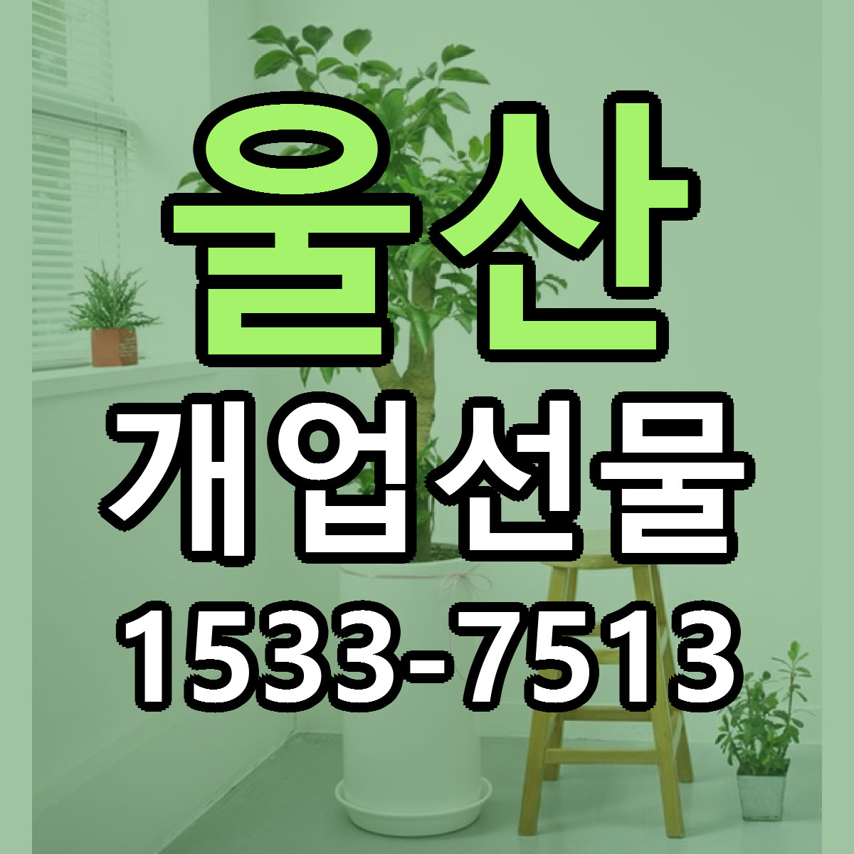 울산 개업선물 빠른배송 리본문구 근처꽃집 예약