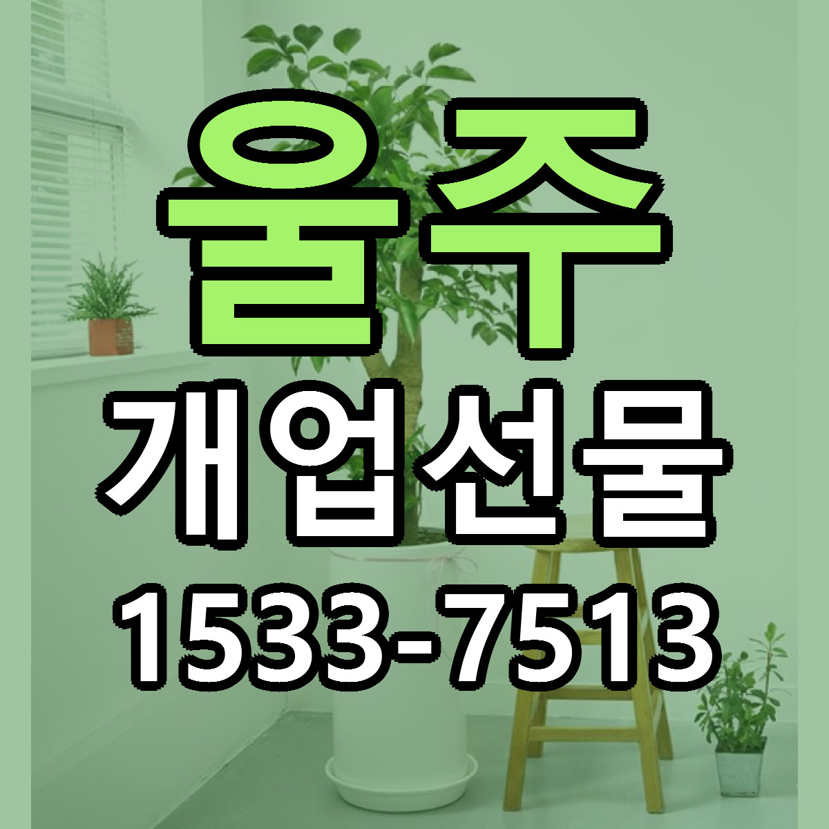 울주 개업선물 빠른배송 저렴한곳 가격 정리