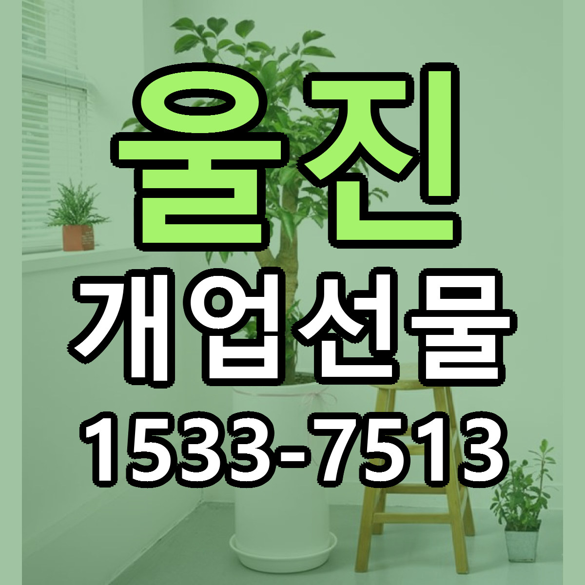 울진 개업선물 리본문구 근처꽃집 저렴한곳 예약