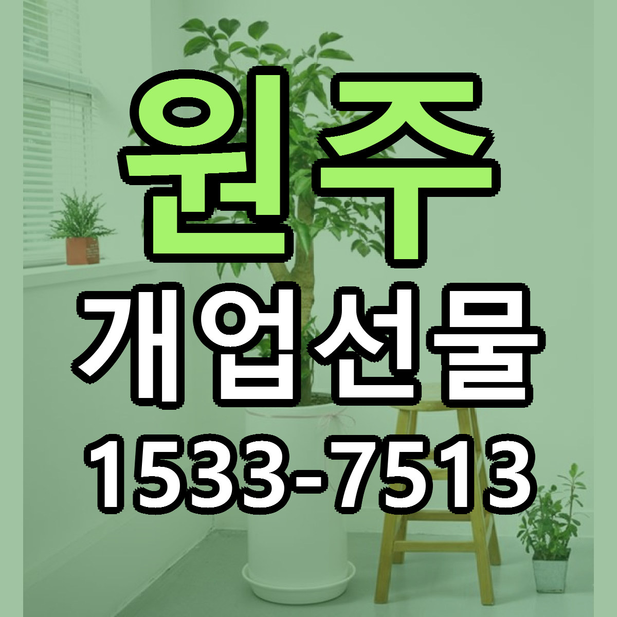 원주 개업선물 빠른배송 리본문구 가격 알뜰 비교