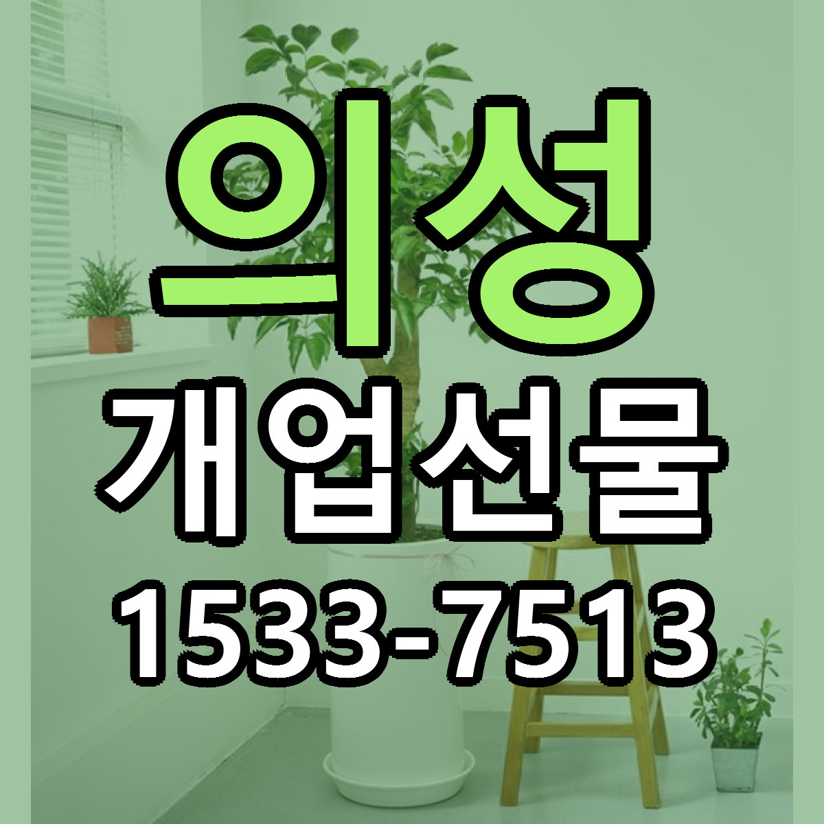 의성 개업선물 가격 착한 싼곳 당일배송 안내