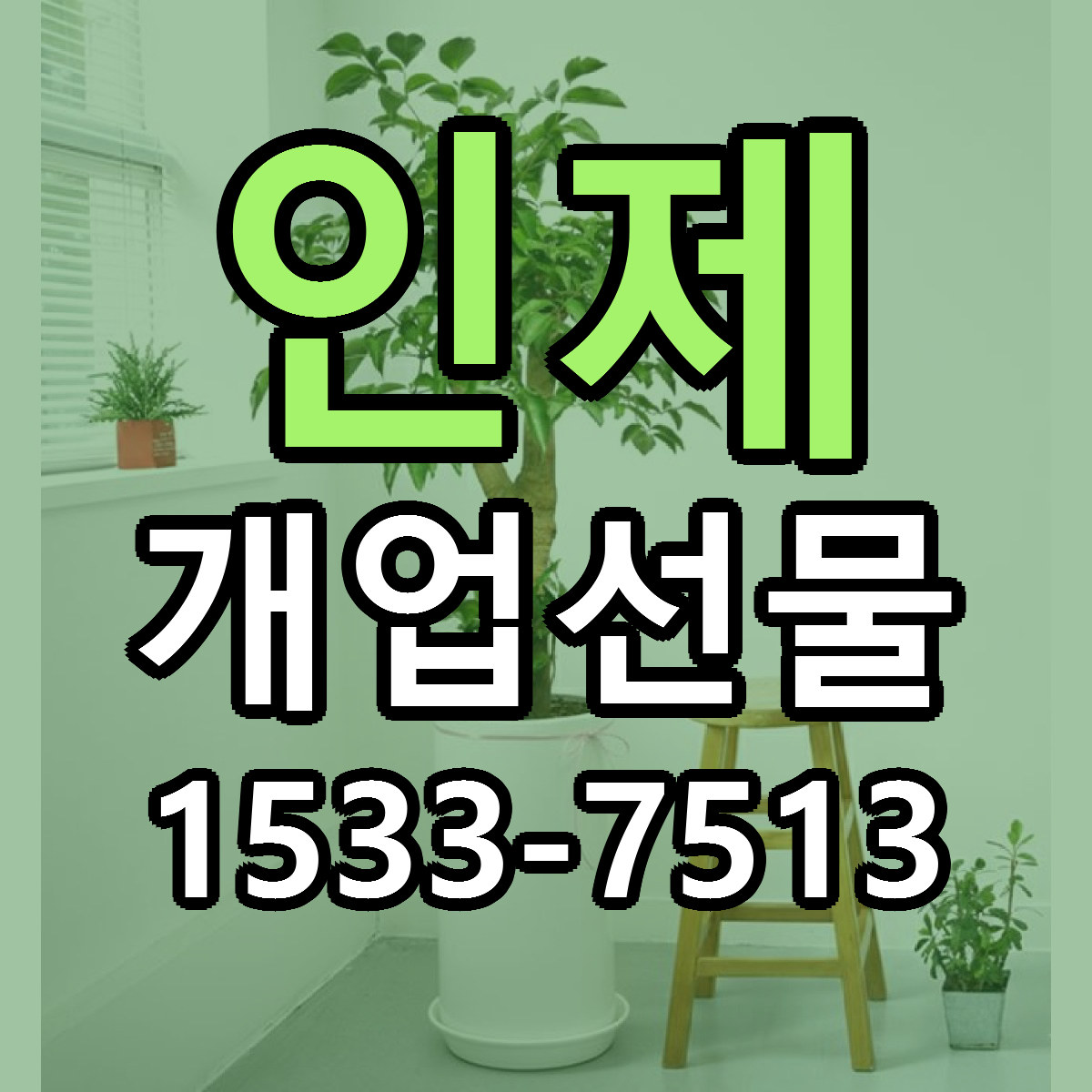 인제 개업선물 빠른배송 가격 저렴한곳 찾기