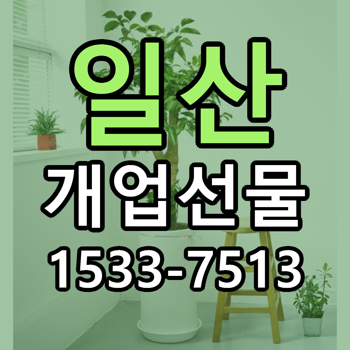 일산 개업선물 빠른배송 리본문구 근처꽃집 예약