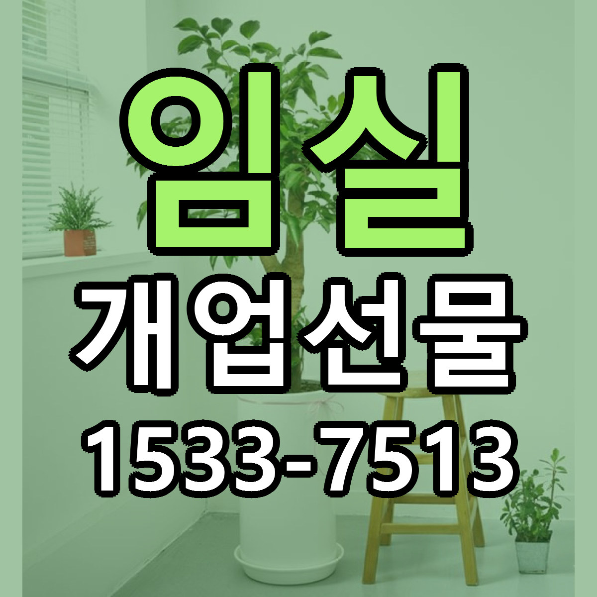 임실 개업선물 근처꽃집 저렴한곳 빠른배송 서비스