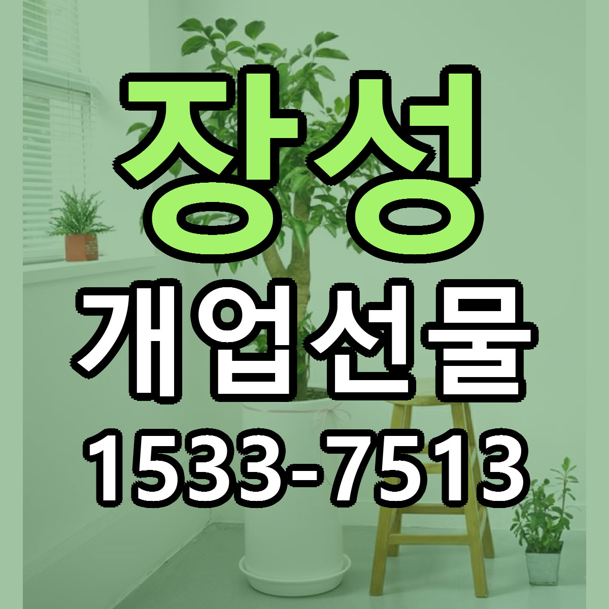 장성 개업선물 빠른배송 근처꽃집 가격 비교