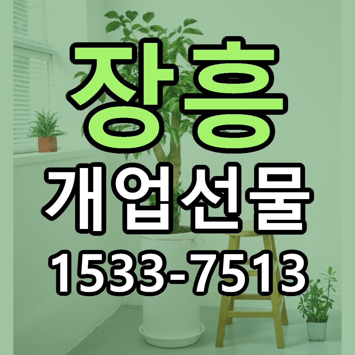 장흥 개업선물 빠른배송 리본문구 가격 알뜰 비교