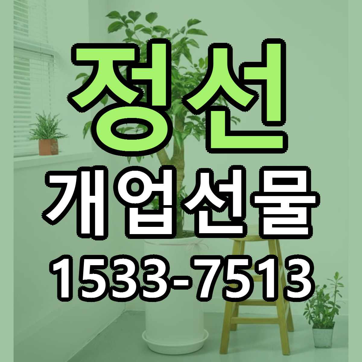 정선 개업선물 저렴한곳 당일배송 근처꽃집 추천
