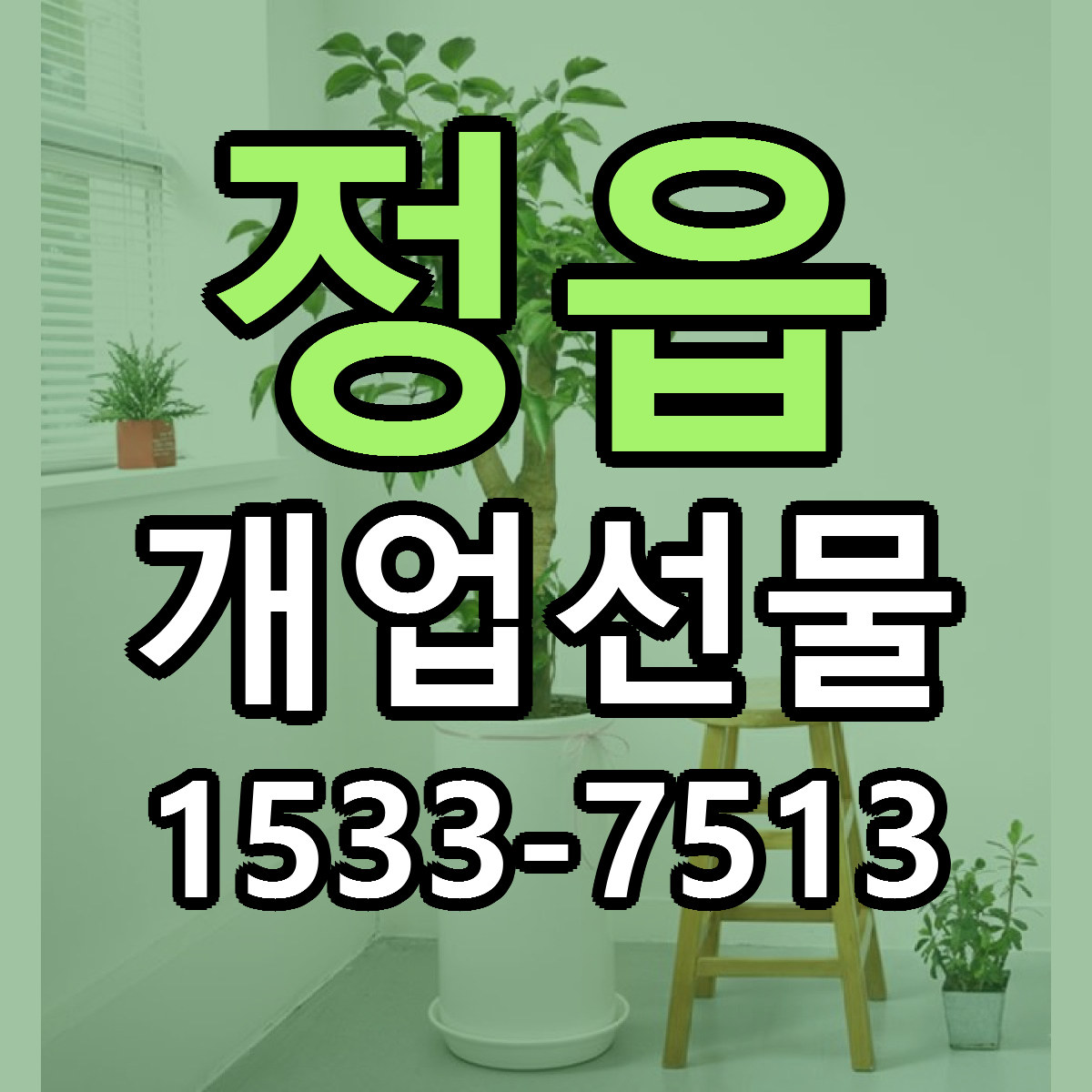 정읍 개업선물 빠른배송 리본문구 근처꽃집 예약