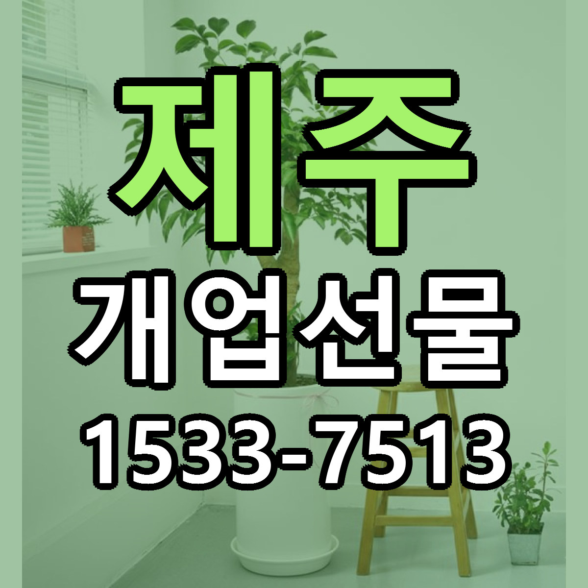 제주 개업선물 빠른배송 리본문구 가격 알뜰 비교