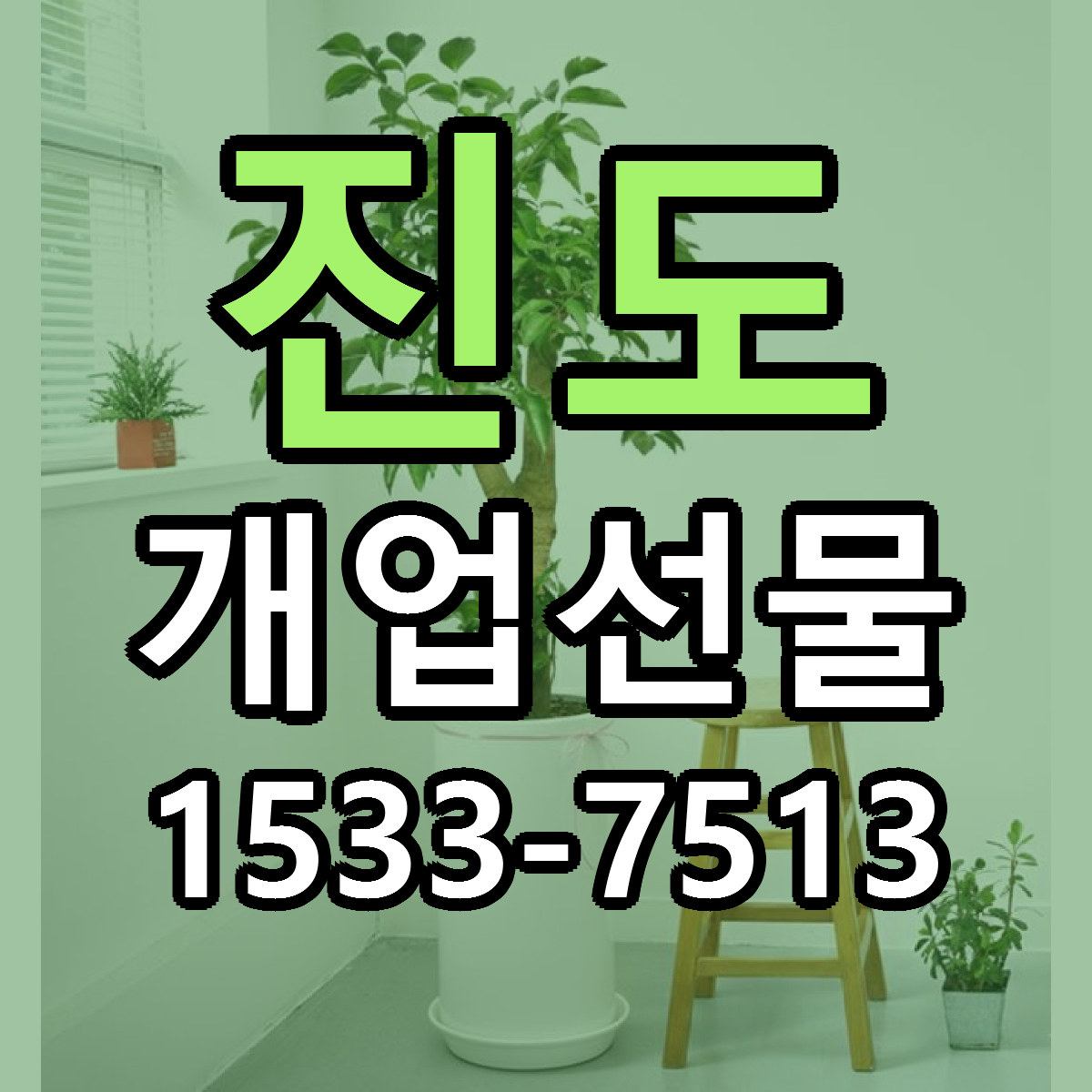 진도 개업선물 빠른배송 리본문구 가격 알뜰 비교