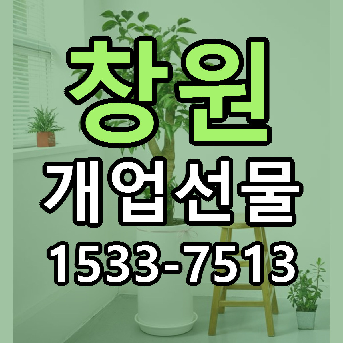 창원 개업선물 근처꽃집 당일배송 싼곳 추천