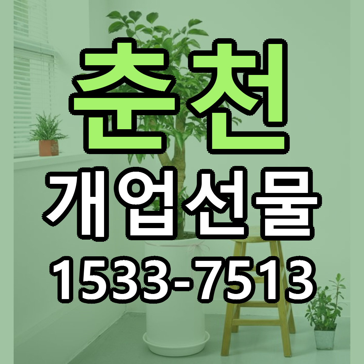 춘천 개업선물 빠른배송 리본문구 근처꽃집 예약