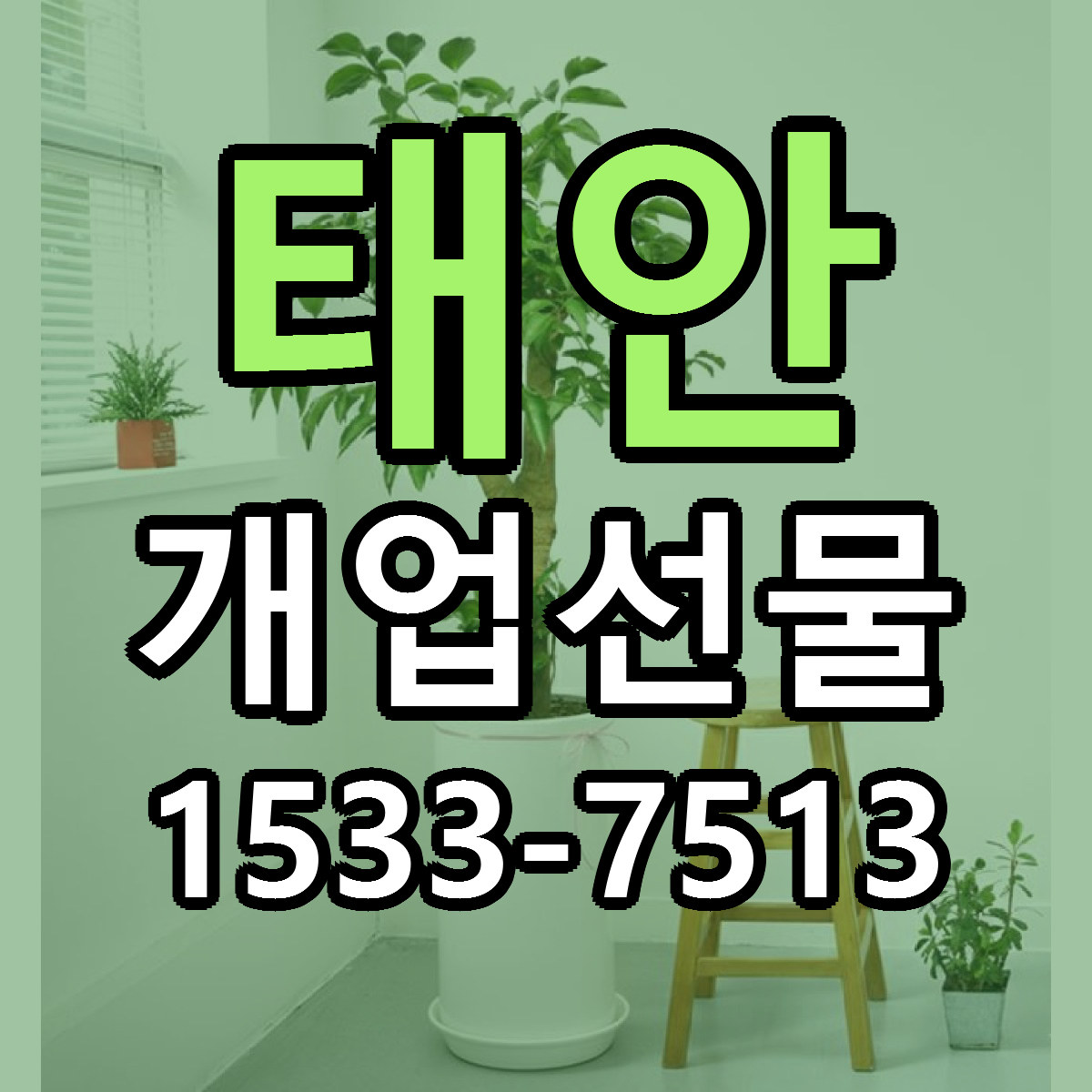 태안 개업선물 빠른배송 근처꽃집 가격 비교