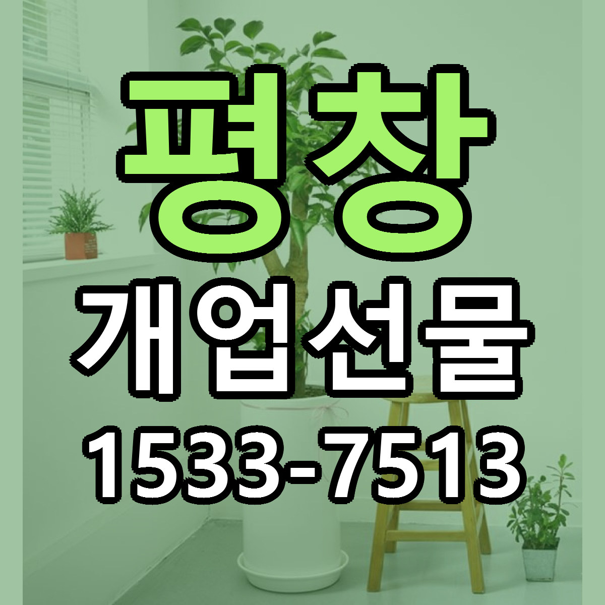 평창 개업선물 빠른배송 싼곳 가격 문의