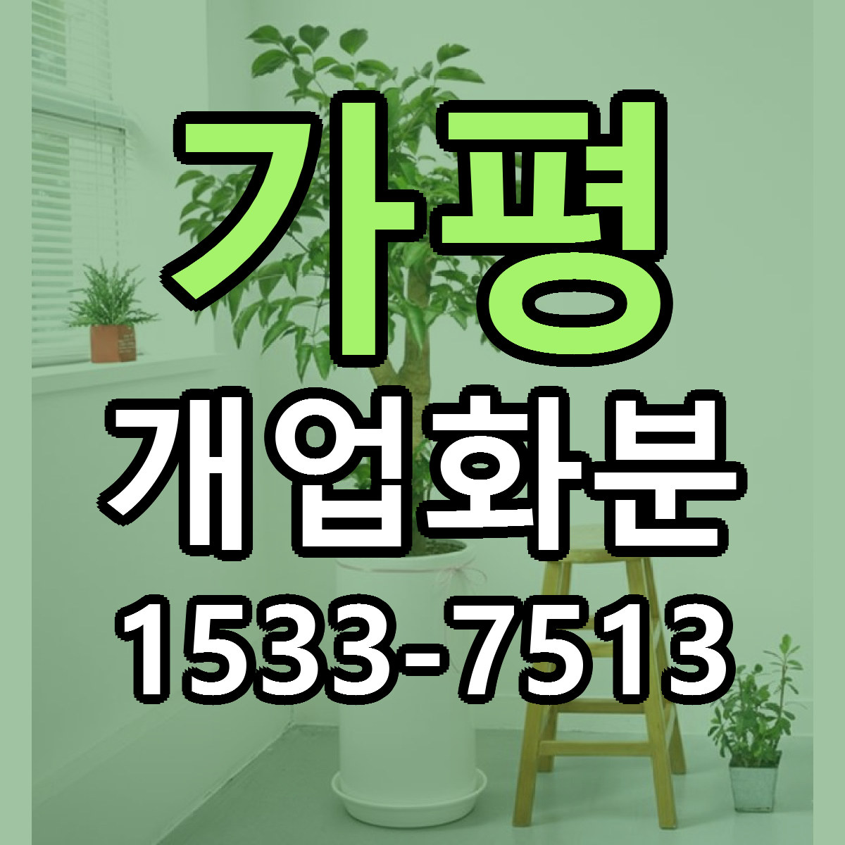 가평 개업화분 당일배송 리본문구 빠른배송 서비스
