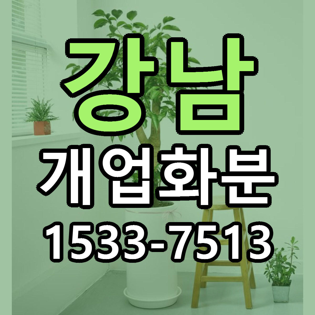강남 개업화분 당일배송 리본문구 빠른배송 서비스