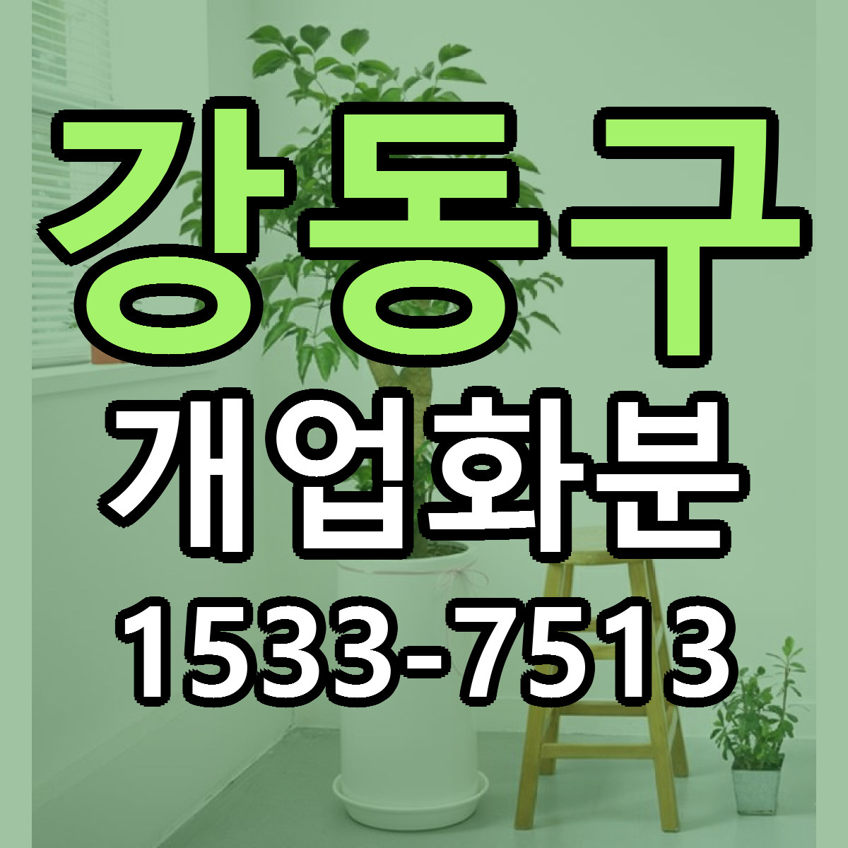 강동구 개업화분 빠른배송 리본문구 가격 알뜰 비교