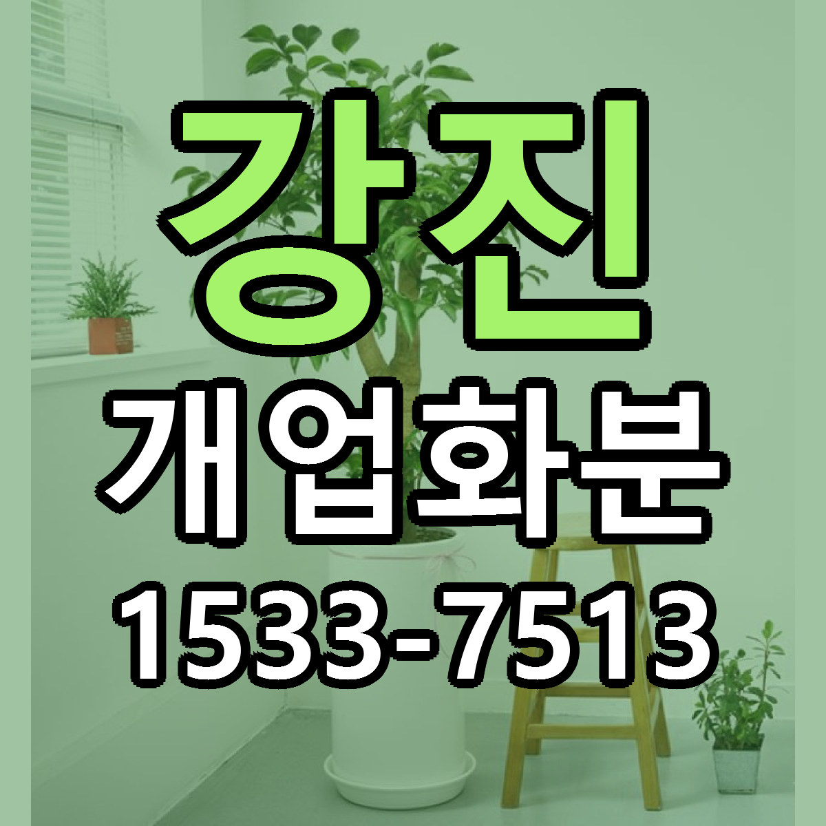 강진 개업화분 근처꽃집 당일배송 싼곳 추천