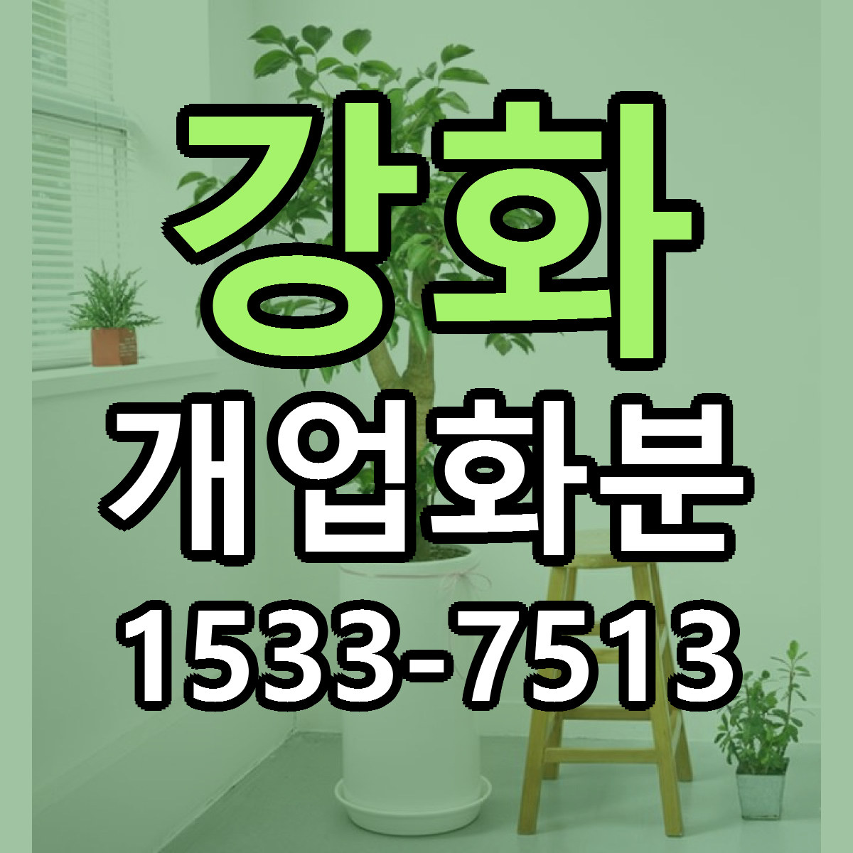 강화 개업화분 당일배송 리본문구 싼곳 찾기