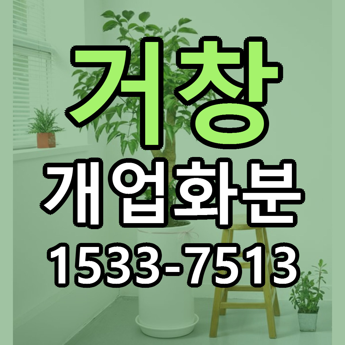 거창 개업화분 당일배송 싼곳 리본문구 안내
