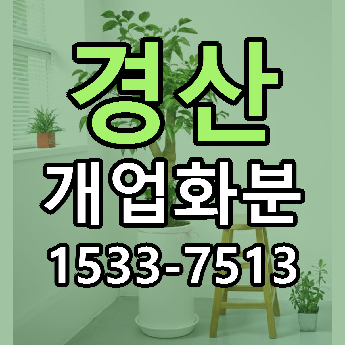 경산 개업화분 당일배송 싼곳 리본문구 안내