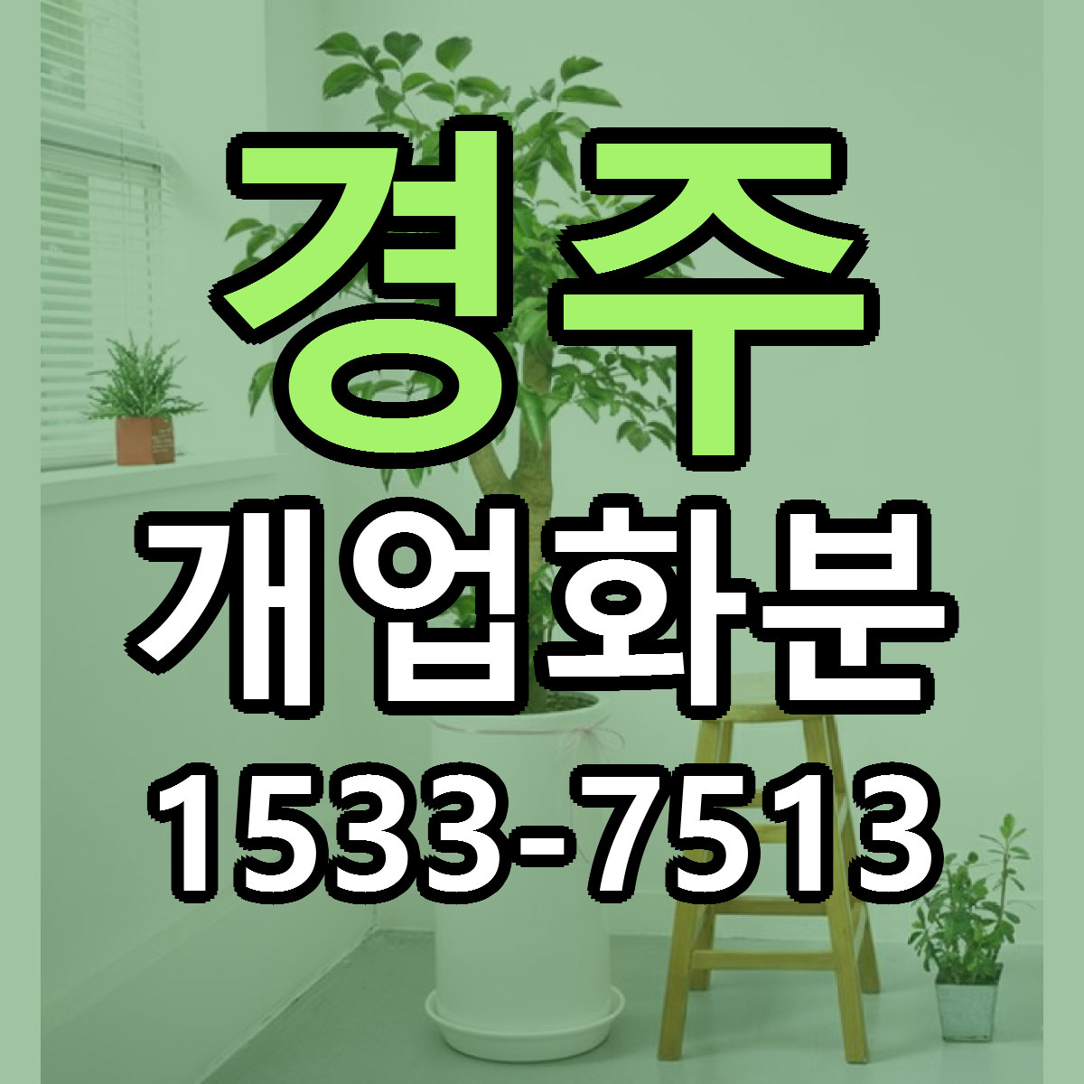 경주 개업화분 당일배송 가격 저렴한곳 추천