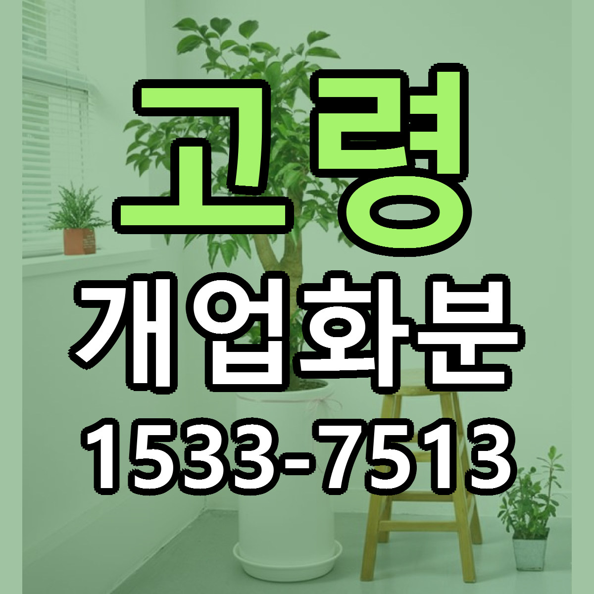고령 개업화분 당일배송 저렴한곳 리본문구 추천